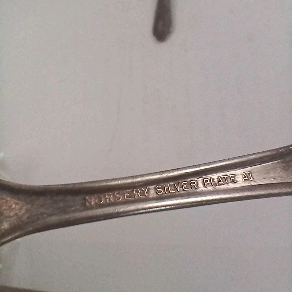 Oneida nursery silver